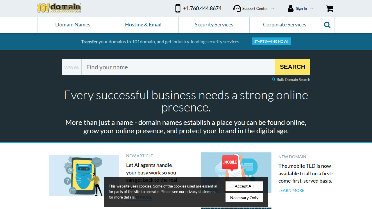 101domain.com